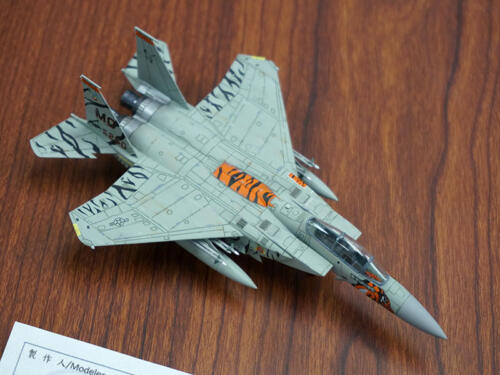 FS - F-15E